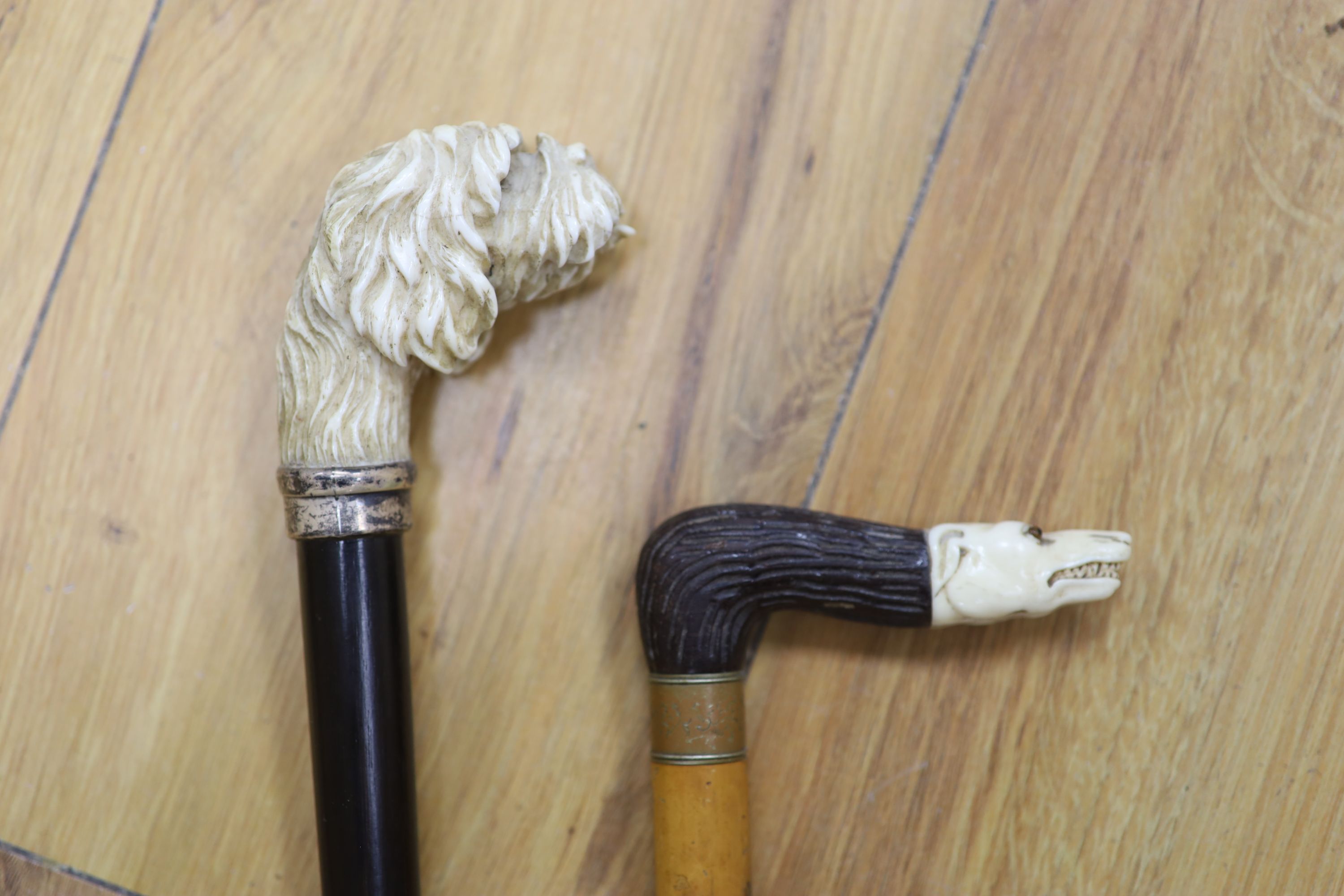 A Victorian carved ivory dogs head cane and another with silver collar